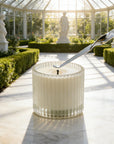 Candle Wick Trimmer, Snuffer and Dipper Set (Silver) - VAUCLUSE