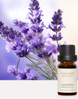 Lavender Essential Oil - 10ml - VAUCLUSE