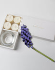 Musk Tealights and Candle Holder Set - VAUCLUSE
