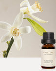 Tuberose Essential Oil - 10ml - VAUCLUSE