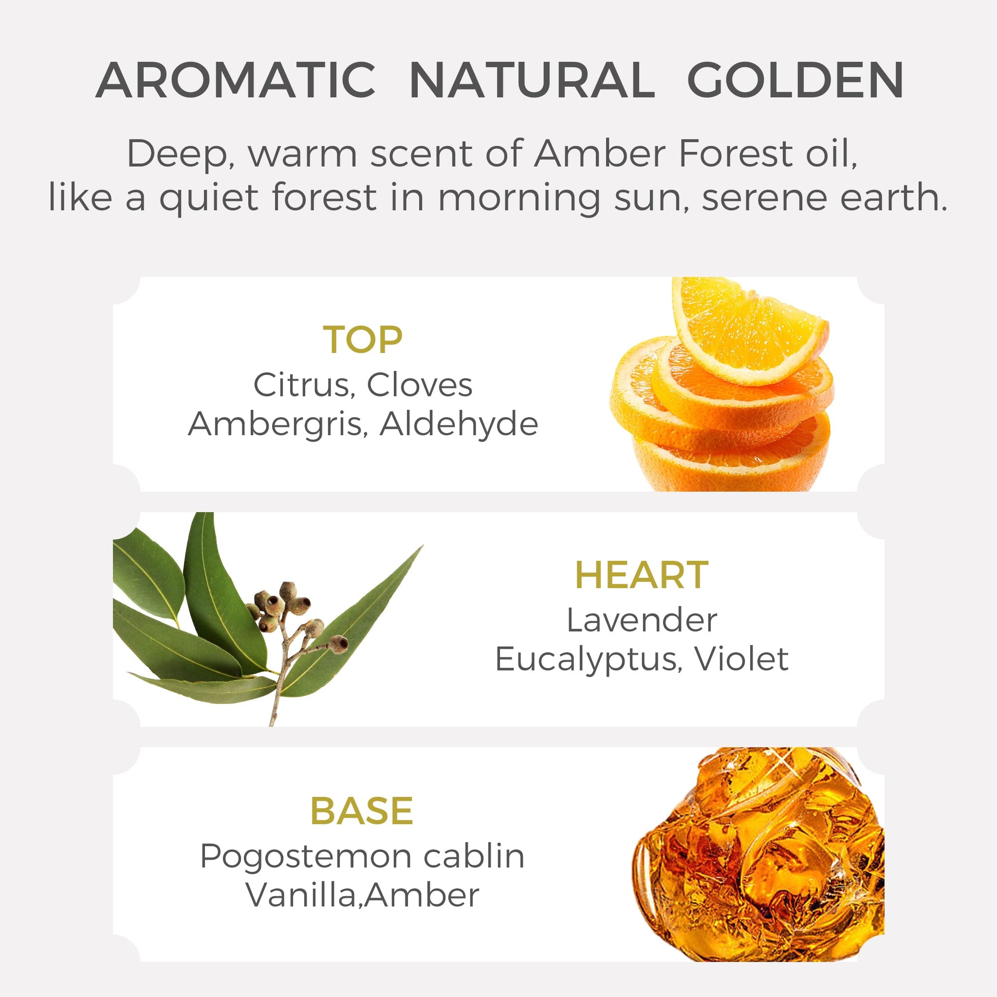 Amber Eucalyptus Essential Oil - 10ml - VAUCLUSE