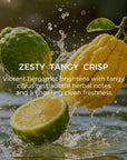 Bergamot Essential Oil - 10ml - VAUCLUSE