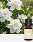 Gardenia Essential Oil - 10ml - VAUCLUSE