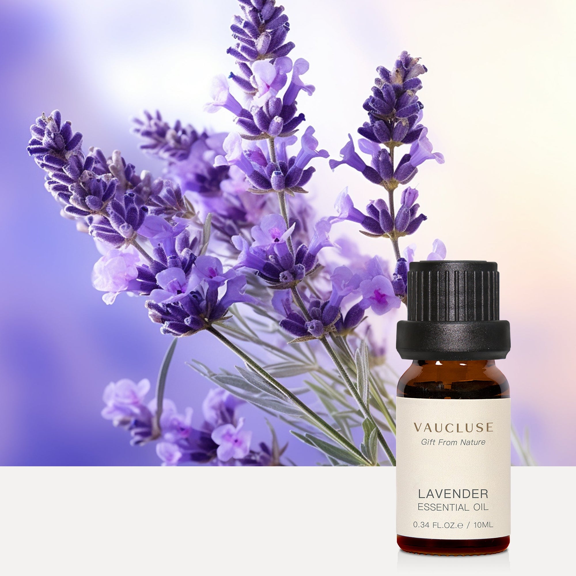 Lavender Essential Oil - 10ml - VAUCLUSE