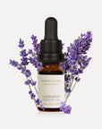 Lavender Essential Oil - 10ml - VAUCLUSE