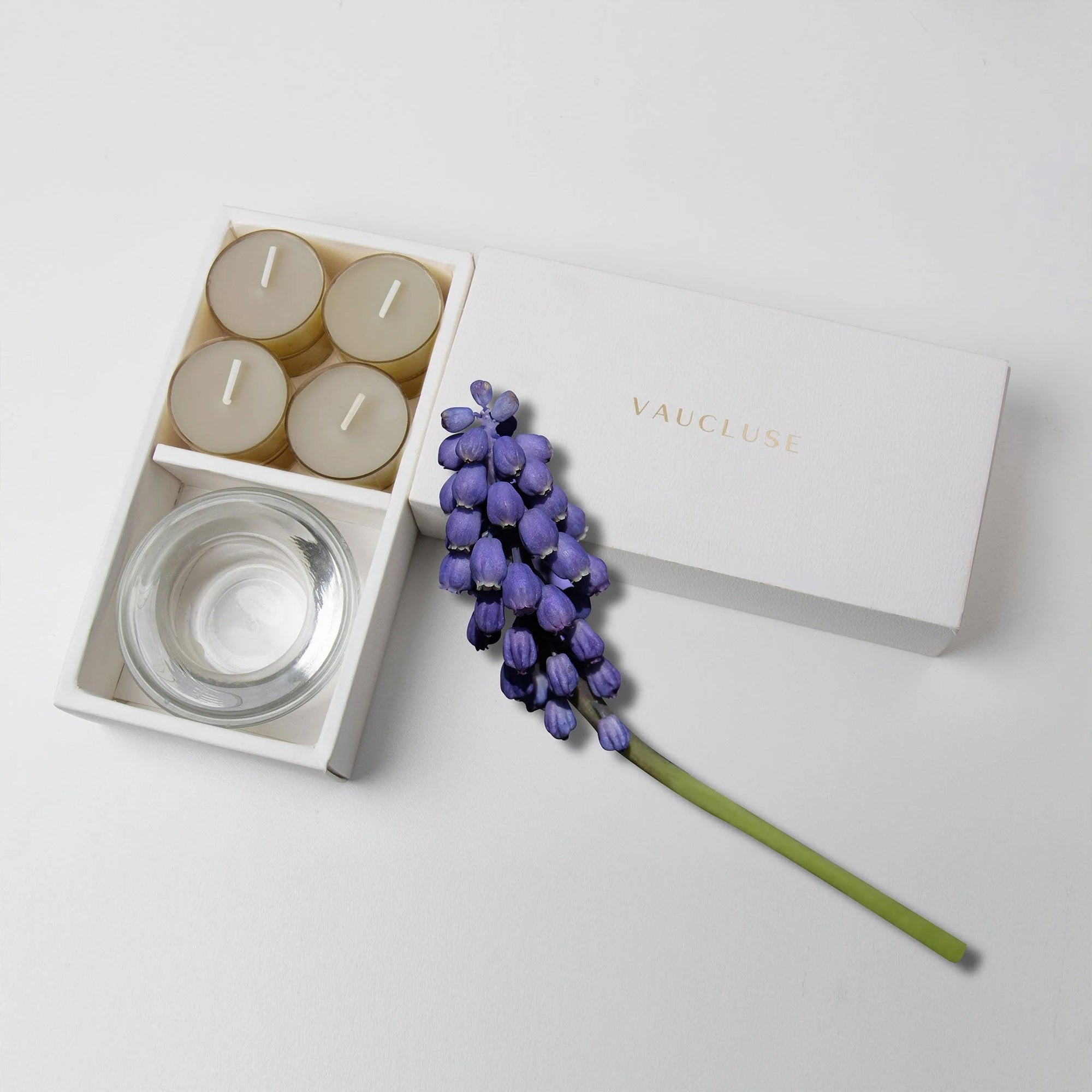 Musk Tealights and Candle Holder Set - VAUCLUSE