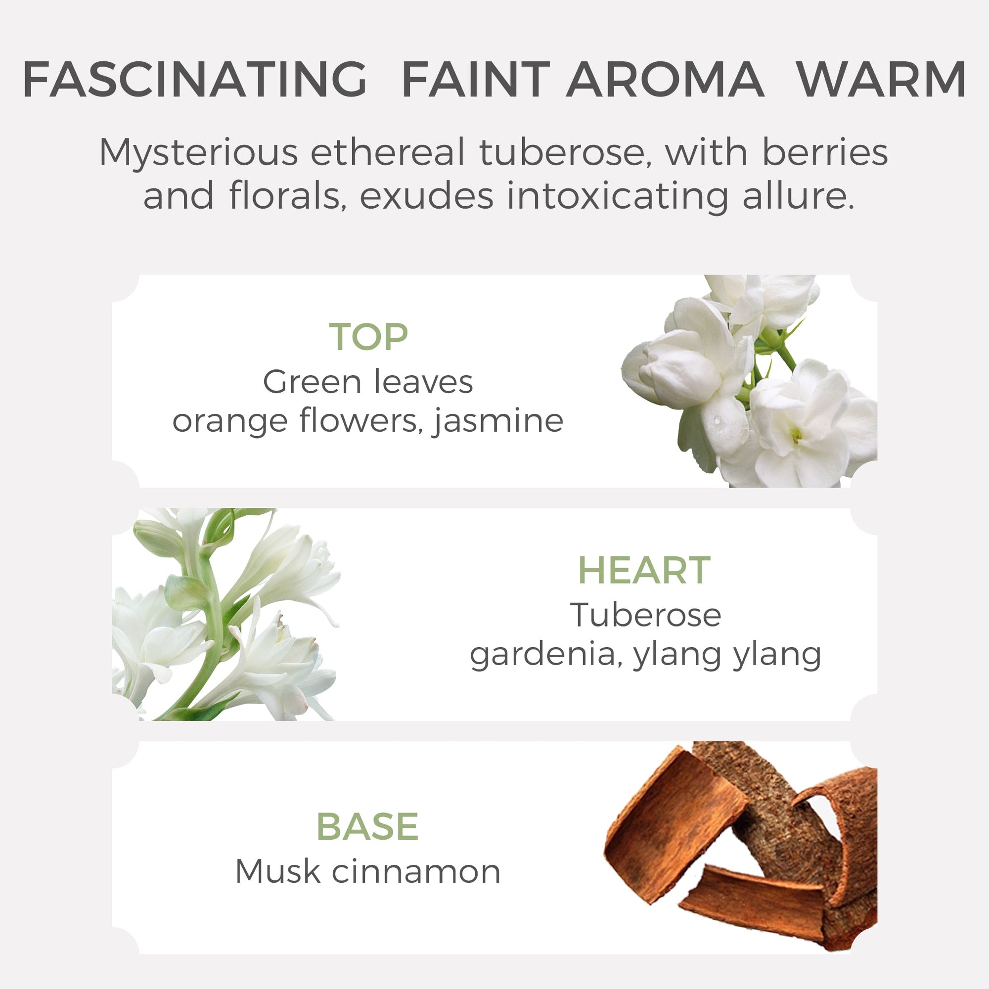 Tuberose Essential Oil - 10ml - VAUCLUSE