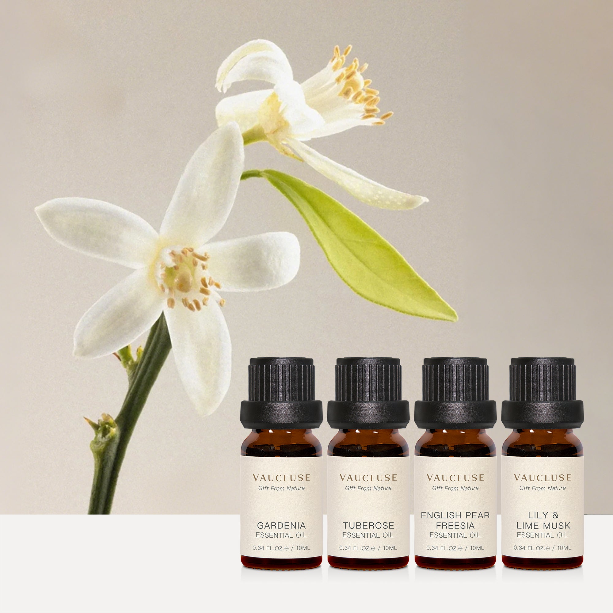 Vaucluse Floral Collection essential oils including Gardenia and Tuberose, displayed with elegant white flower blossoms.