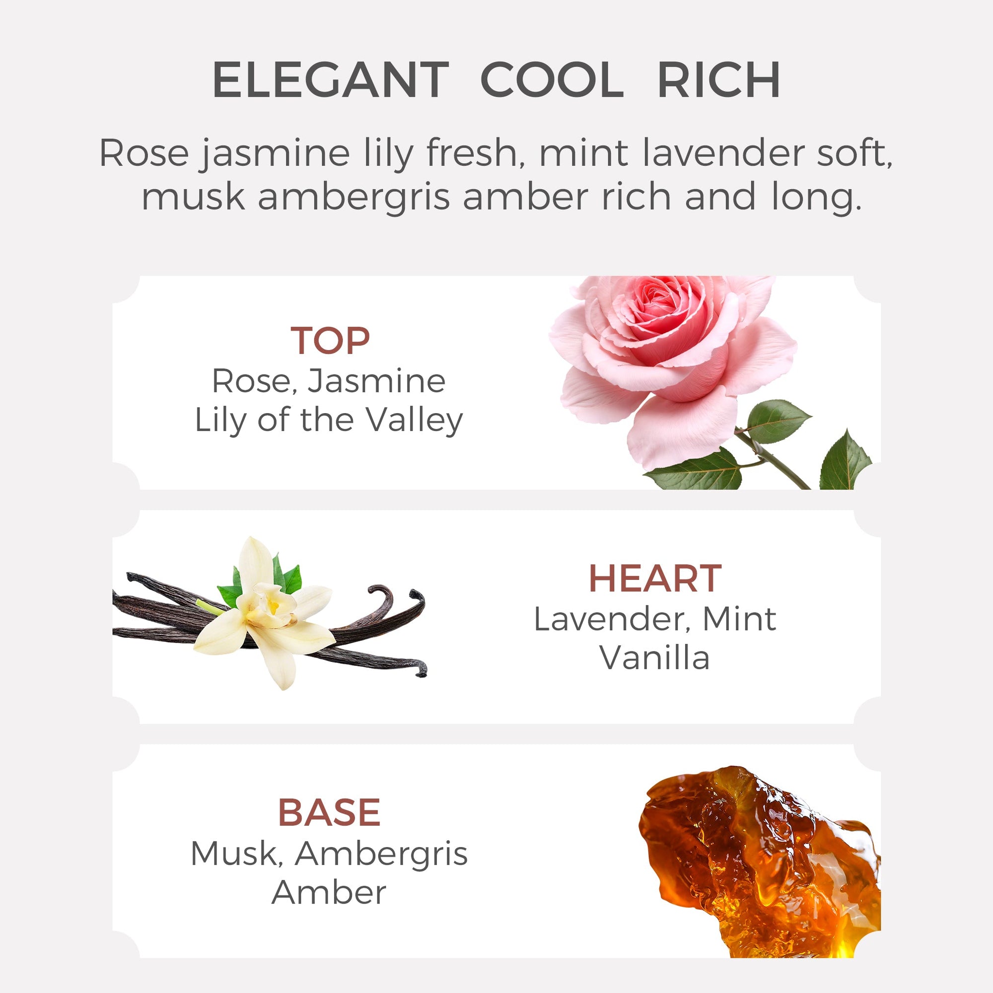 Fragrance notes breakdown for Vaucluse Vanilla Lavender and Musk essential oil showing top, heart, and base notes.