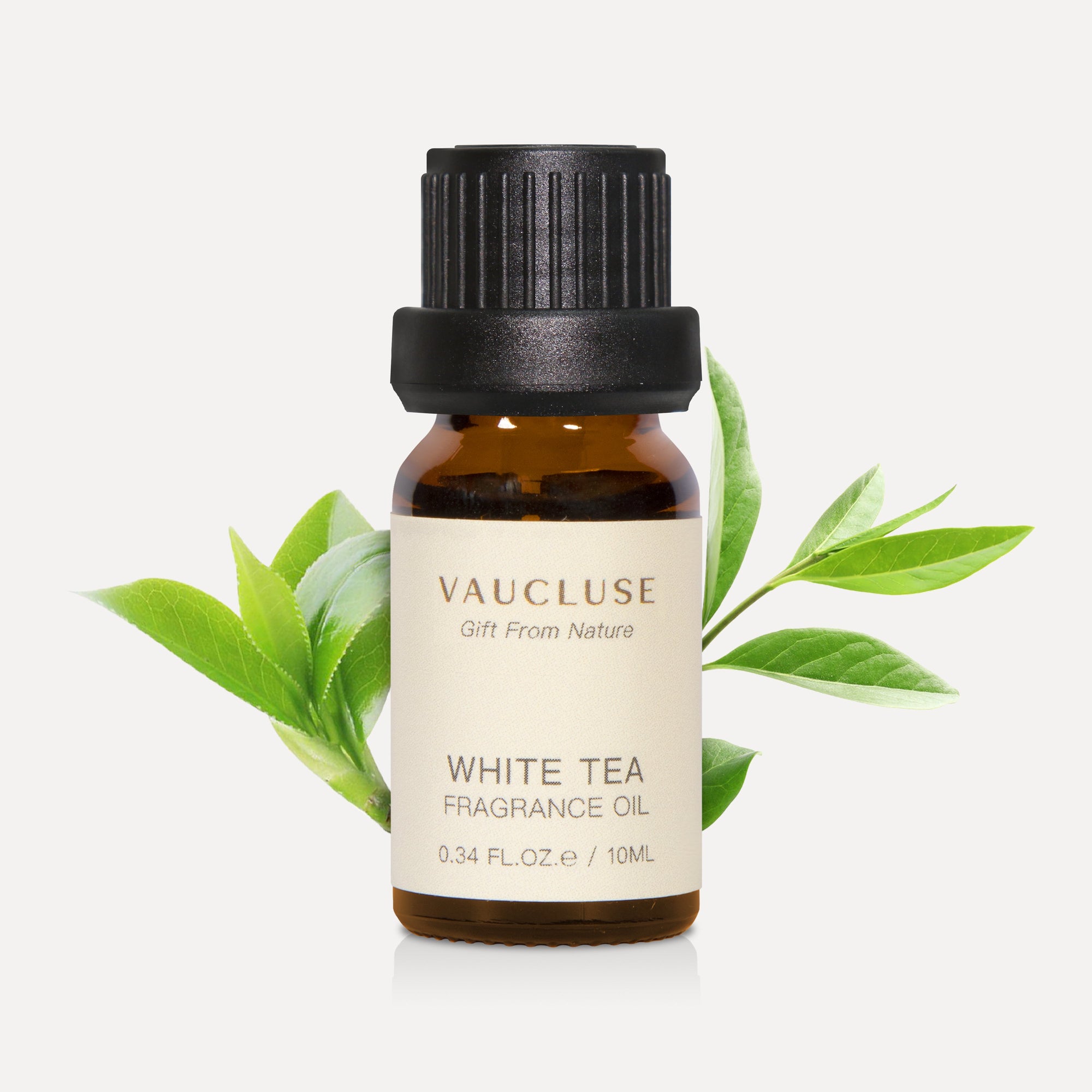 A 10ml amber glass bottle of Vaucluse White Tea Essential Oil with fresh, vibrant green tea leaves sprouting behind it.