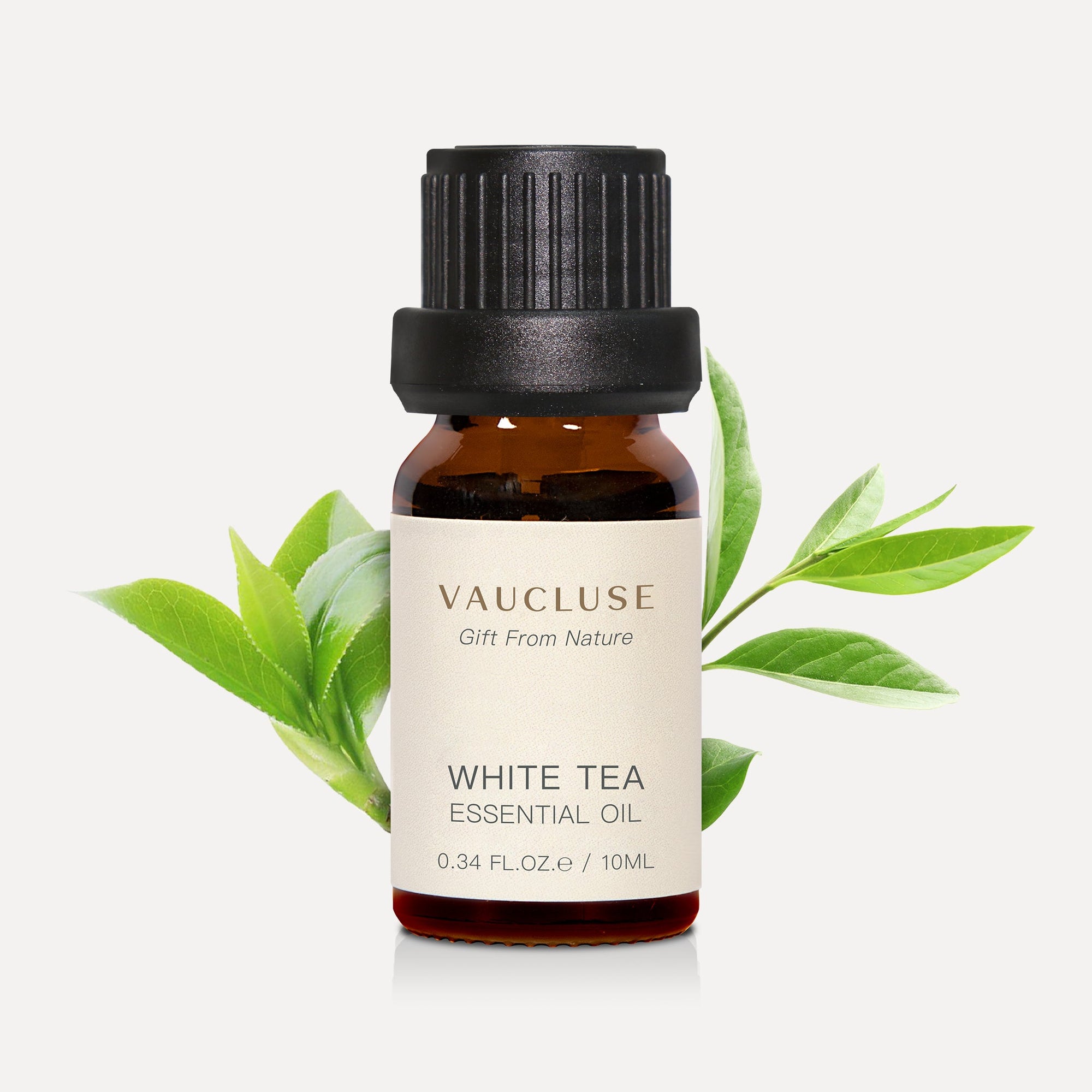 White Tea Essential Oil - 10ml - VAUCLUSE