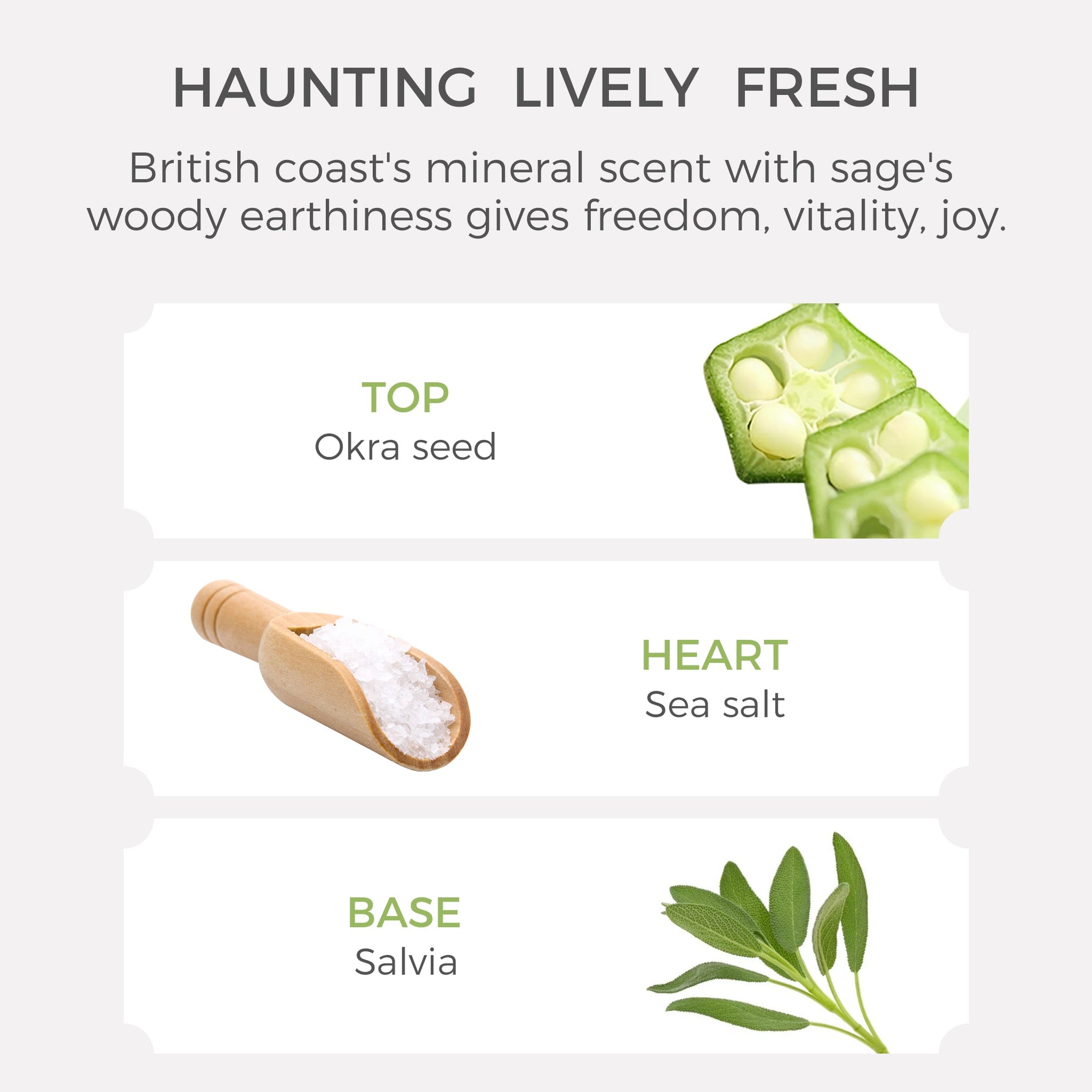 Wood Sage Sea Salt Essential Oil-10ml - VAUCLUSE